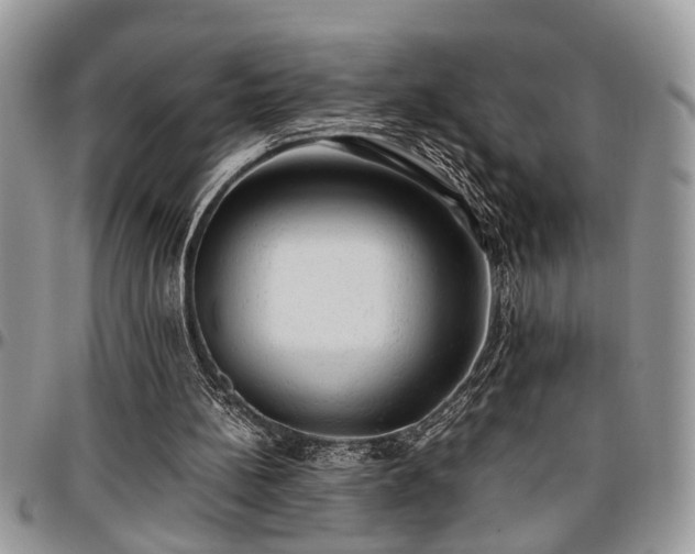 X0000096940148200802151222