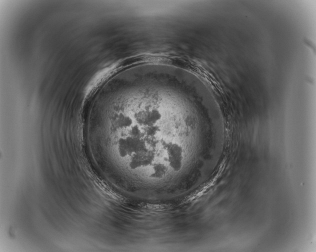X0000096940149200802151222
