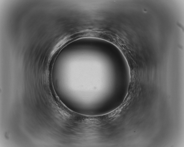 X0000096940150200802151222