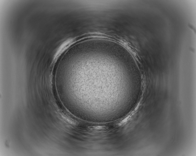 X0000096940151200802151222