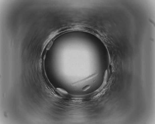 X0000096940152200802151222