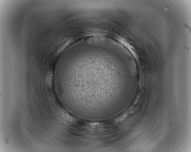 X0000096940153200802151222