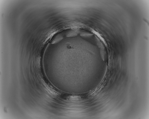 X0000096940154200802151222