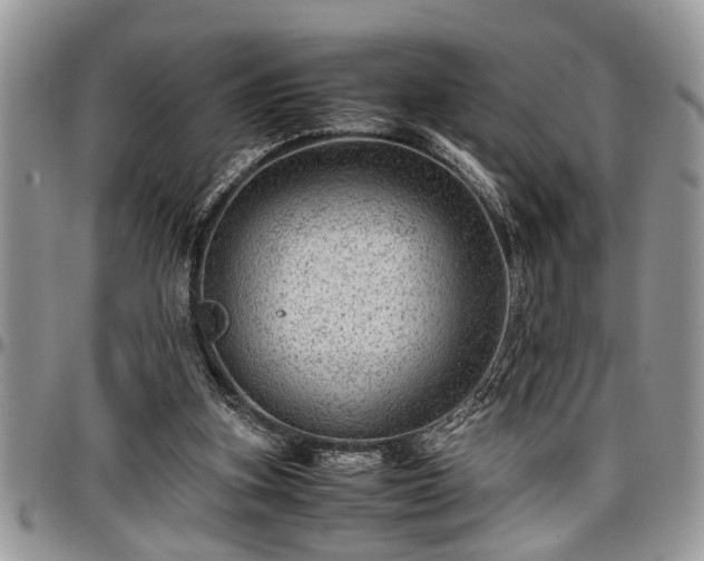 X0000096940155200802151222