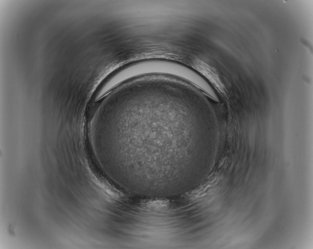 X0000096940156200802151222