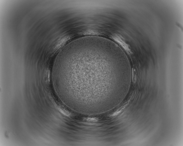 X0000096940157200802151222