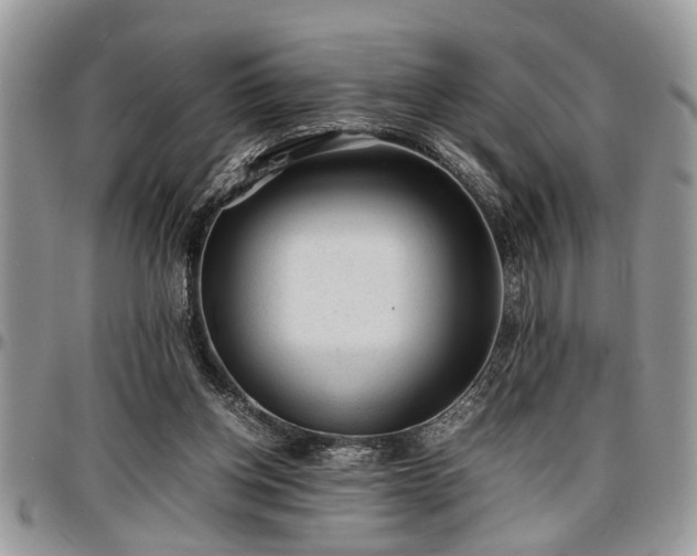 X0000096940158200802151222