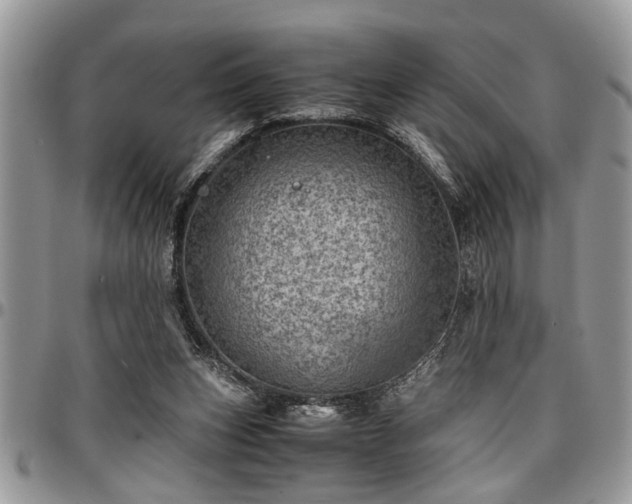 X0000096940159200802151222
