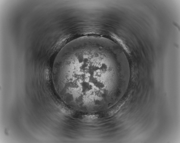 X0000096940161200802151222