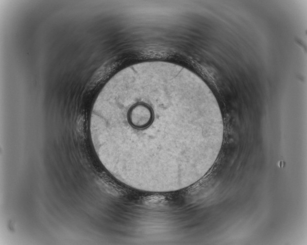 X0000096940162200802151222