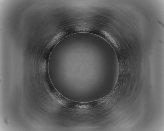 X0000096940163200802151223