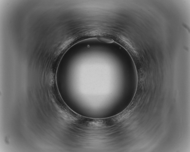 X0000096940164200802151223