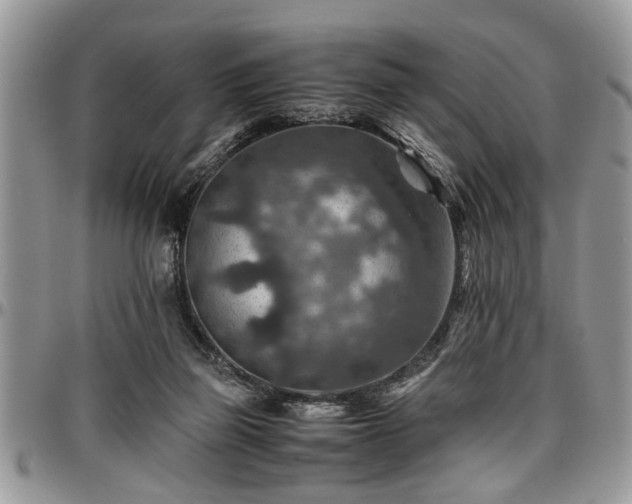 X0000096940165200802151223