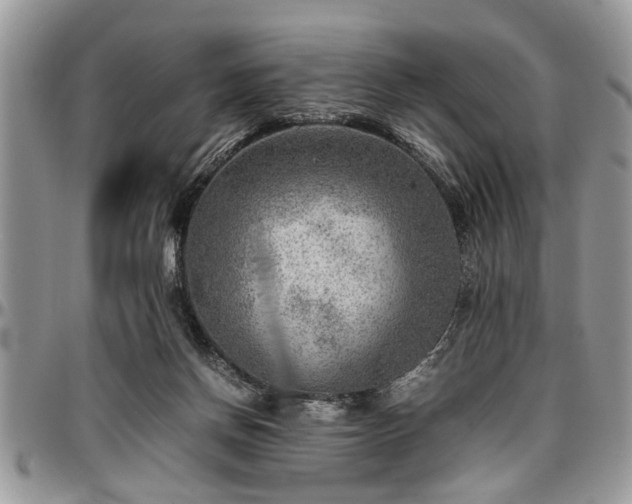 X0000096940166200802151223