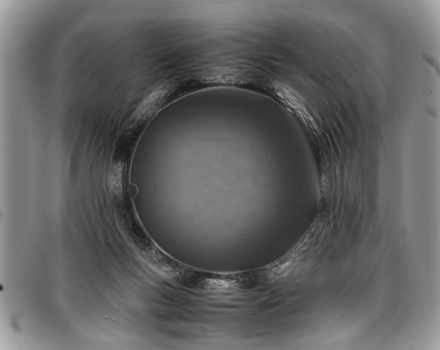 X0000096940167200802151223