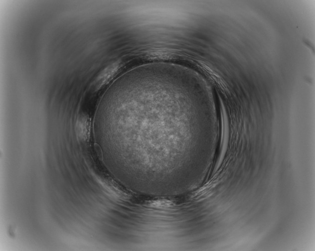 X0000096940168200802151223