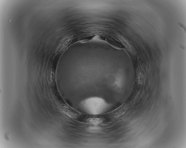 X0000096940169200802151223