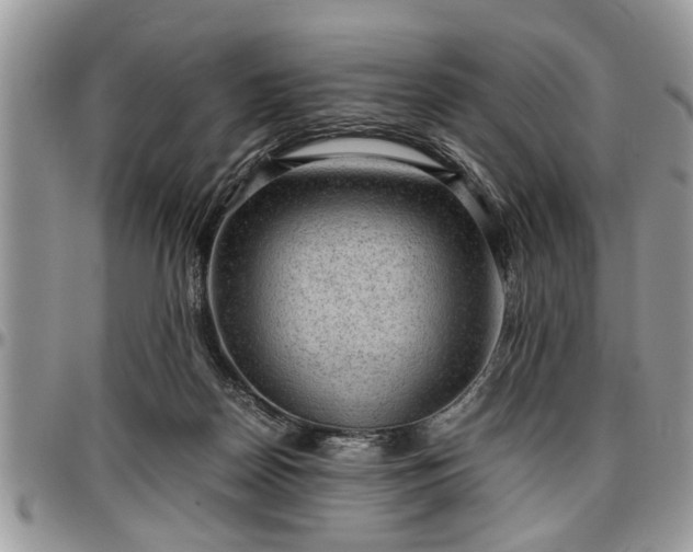 X0000096940170200802151223