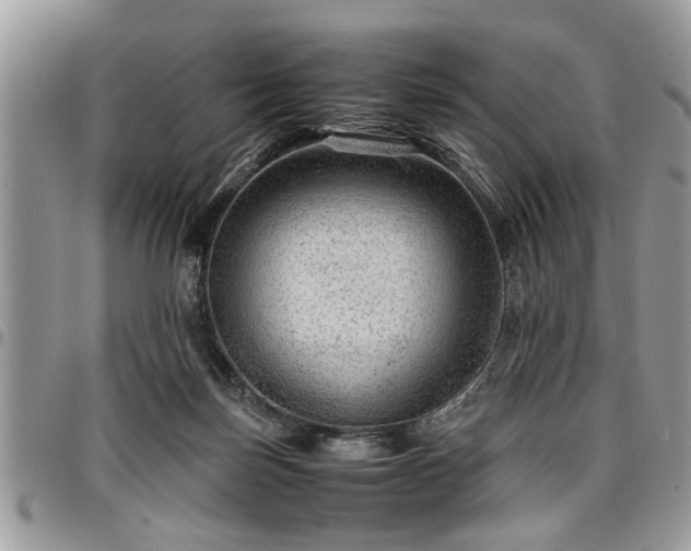 X0000096940171200802151223