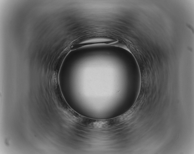 X0000096940172200802151223