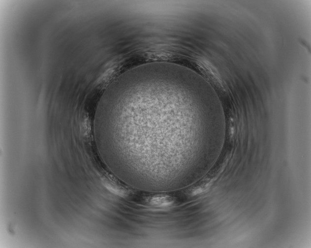 X0000096940173200802151223