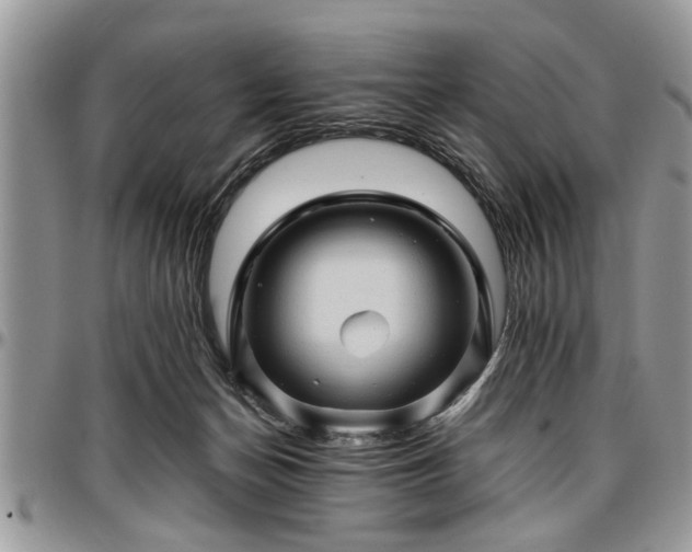 X0000096940174200802151223