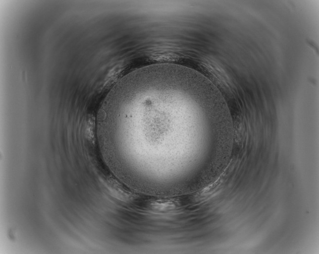 X0000096940175200802151223