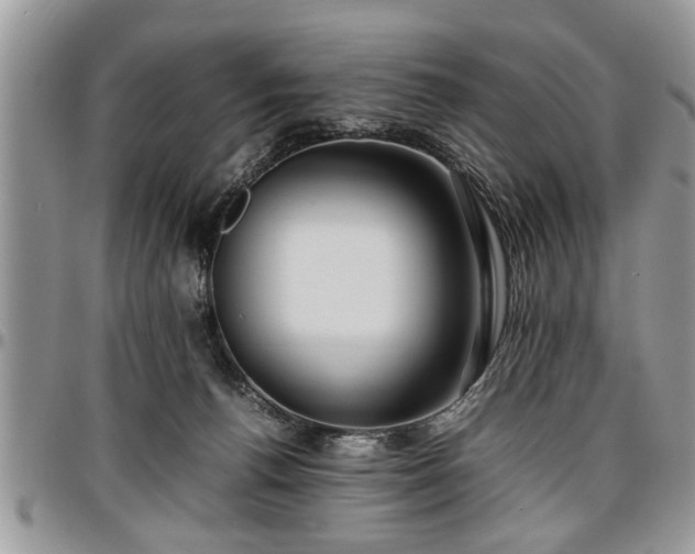 X0000096940176200802151223