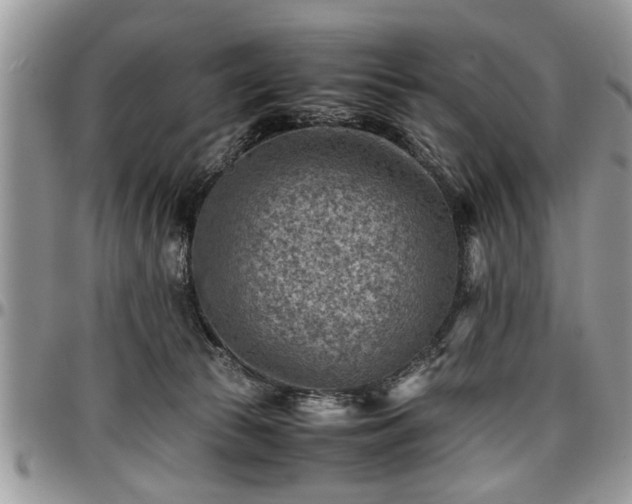 X0000096940177200802151223