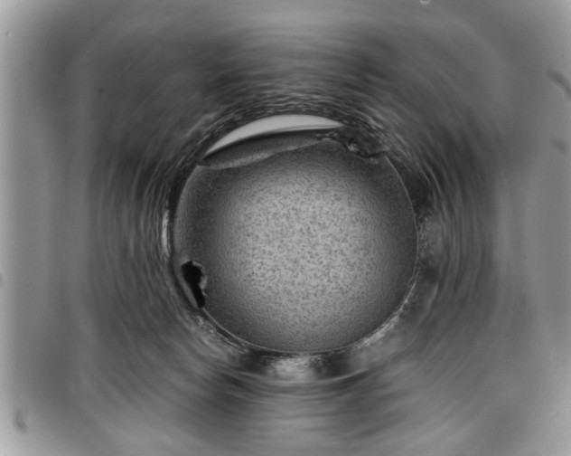 X0000096940178200802151223