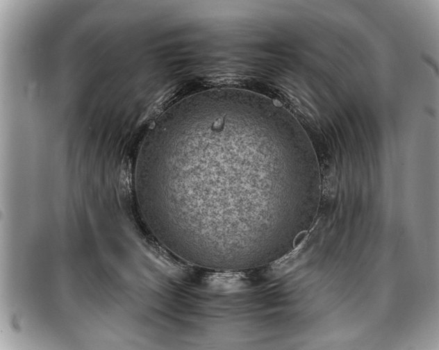 X0000096940179200802151223