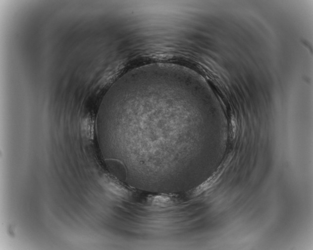 X0000096940180200802151223