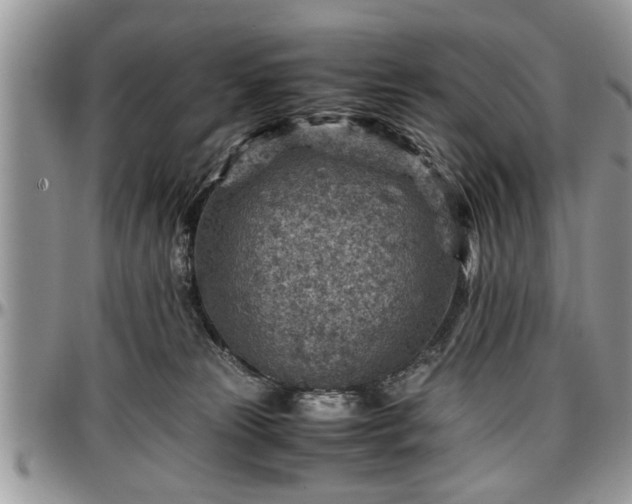 X0000096940181200802151223