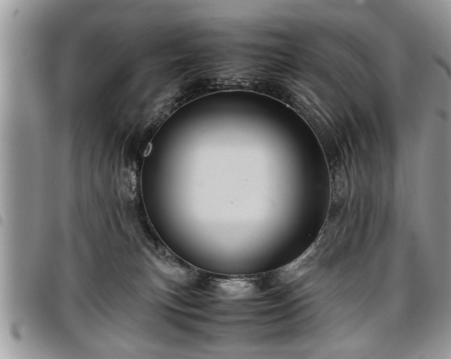 X0000096940183200802151223