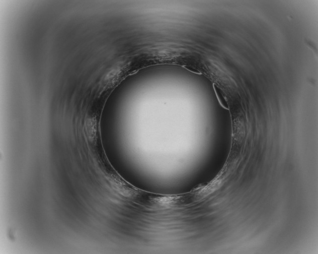 X0000096940184200802151223