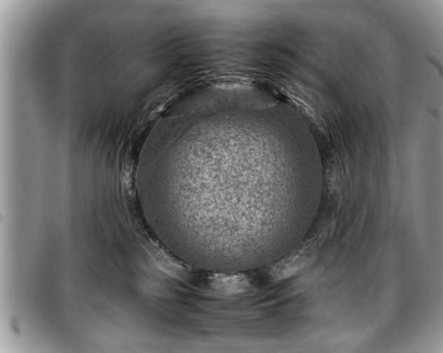 X0000096940185200802151223