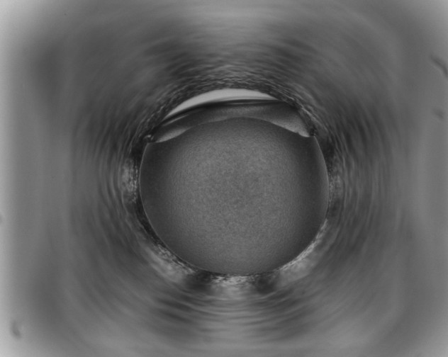 X0000096940186200802151223