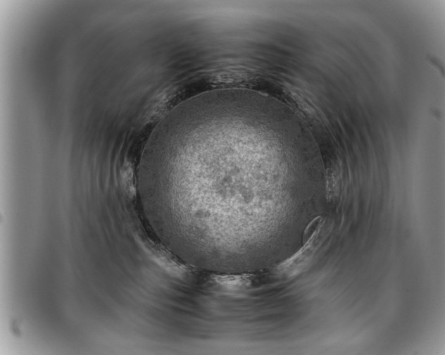 X0000096940187200802151223