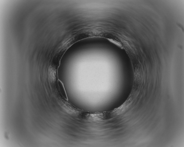 X0000096940188200802151223