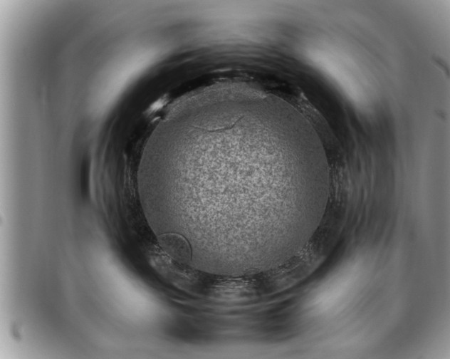 X0000096940189200802151223