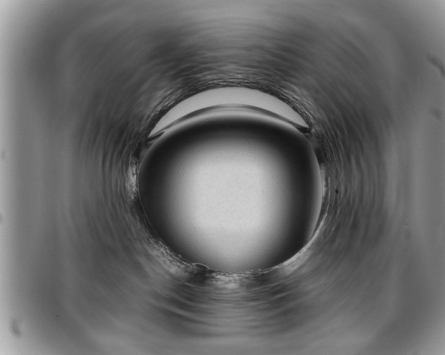 X0000096940190200802151223