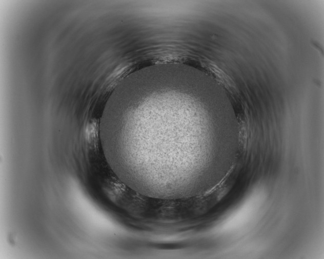 X0000096940191200802151223