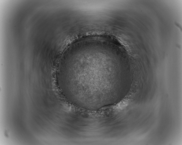 X0000096940192200802151223