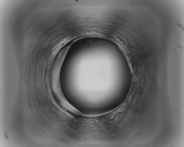 X0000096940193200802151222