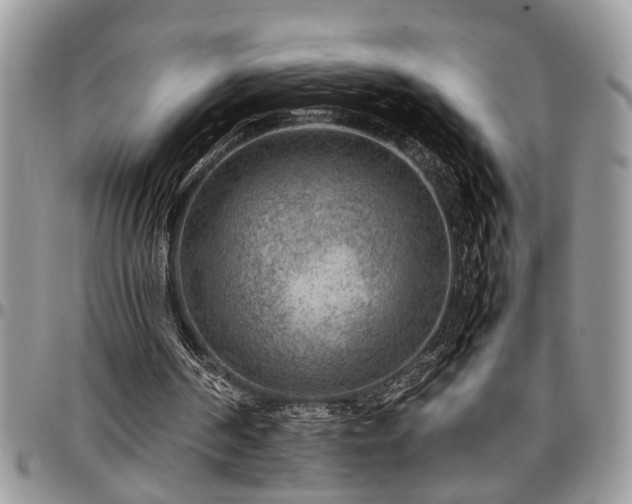 X0000096940194200802151222