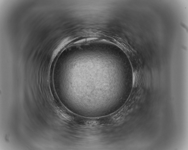 X0000096940195200802151222