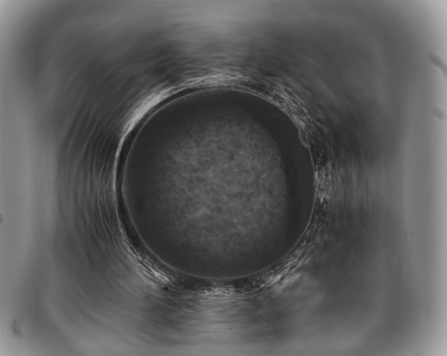 X0000096940196200802151222