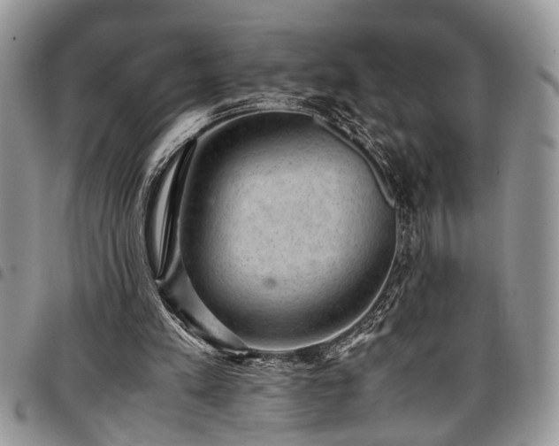 X0000096940197200802151222