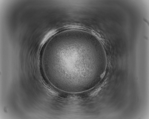 X0000096940199200802151222