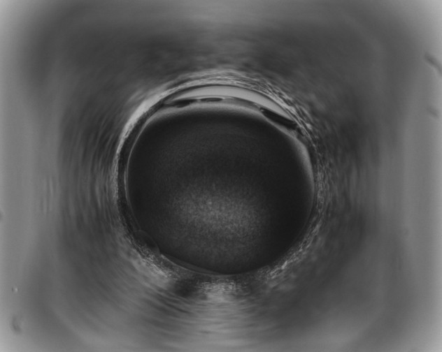 X0000096940200200802151222